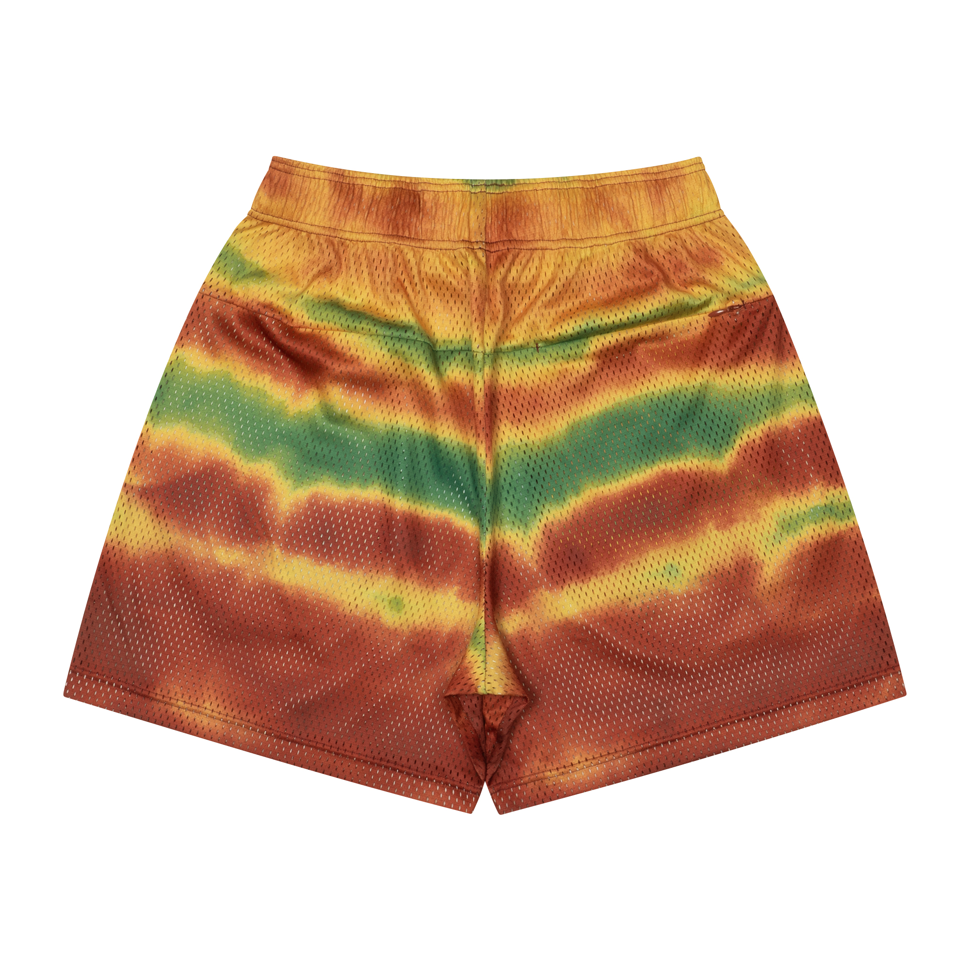 Tides Pattern Mesh Zip Shorts (sage)